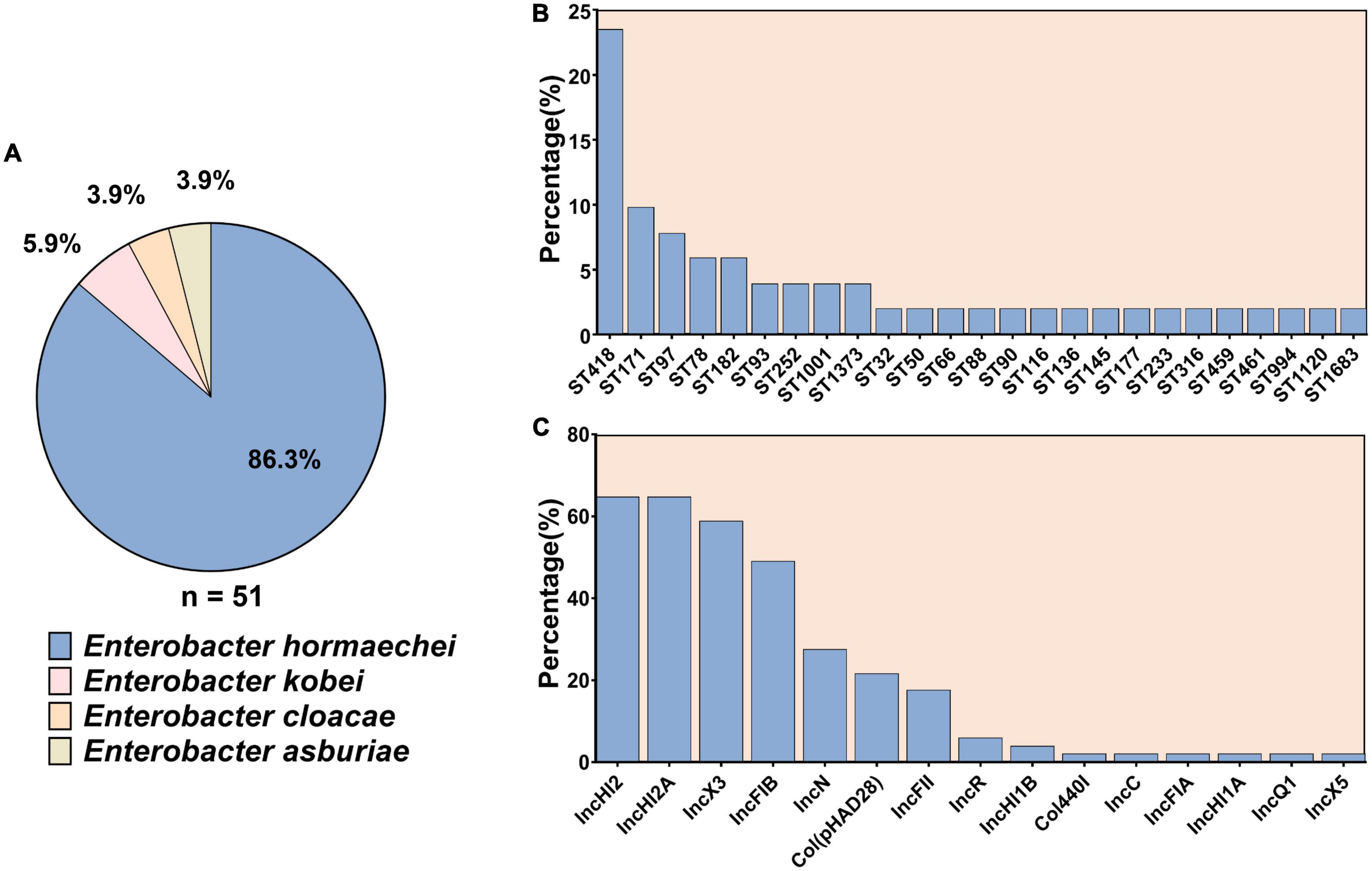 Genomic and clinical characteristics of carbapenem-resistant Enterobacter cloacae complex isolates collected in a Chinese tertiary hospital during 2013–2021